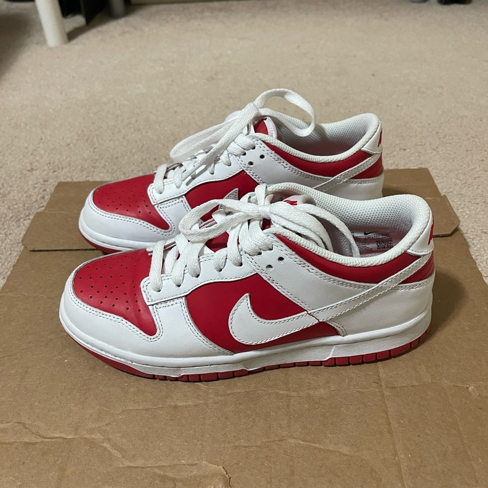 Nike youth dunks